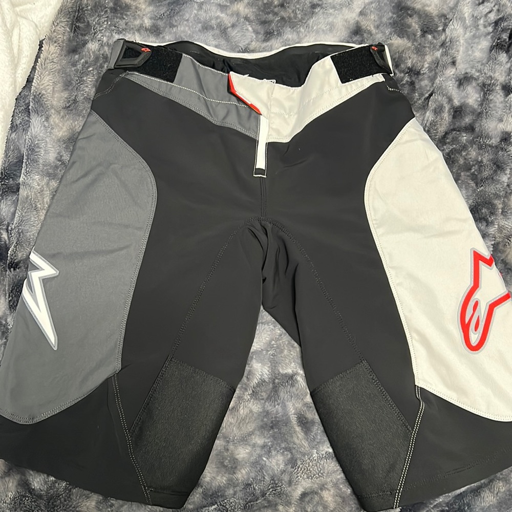Alpine star downhill vector shorts